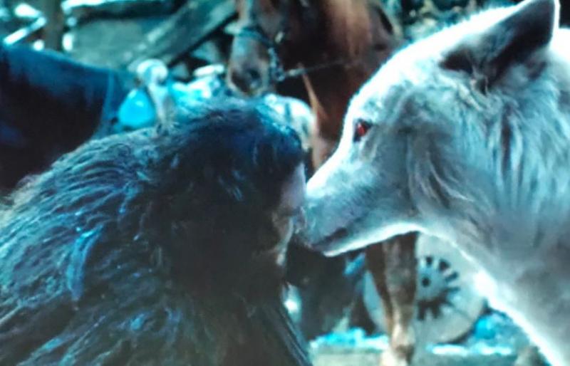 'Game of Thrones mùa 8 tập 6': Fan ấm lòng khi cuối cùng em chó Ghost cũng được yêu thương 'Game of Thrones mùa 8 tập 6': Fan ấm lòng khi cuối cùng em chó Ghost cũng được yêu thương