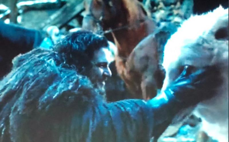 'Game of Thrones mùa 8 tập 6': Fan ấm lòng khi cuối cùng em chó Ghost cũng được yêu thương 'Game of Thrones mùa 8 tập 6': Fan ấm lòng khi cuối cùng em chó Ghost cũng được yêu thương
