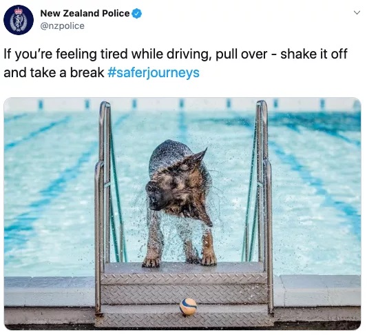 Cảnh sát New Zealand dành thời gian để đăng ảnh... chó lên MXH nhiều hơn là viết bài về tội phạm Cảnh sát New Zealand dành thời gian để đăng ảnh... chó lên MXH nhiều hơn là viết bài về tội phạm