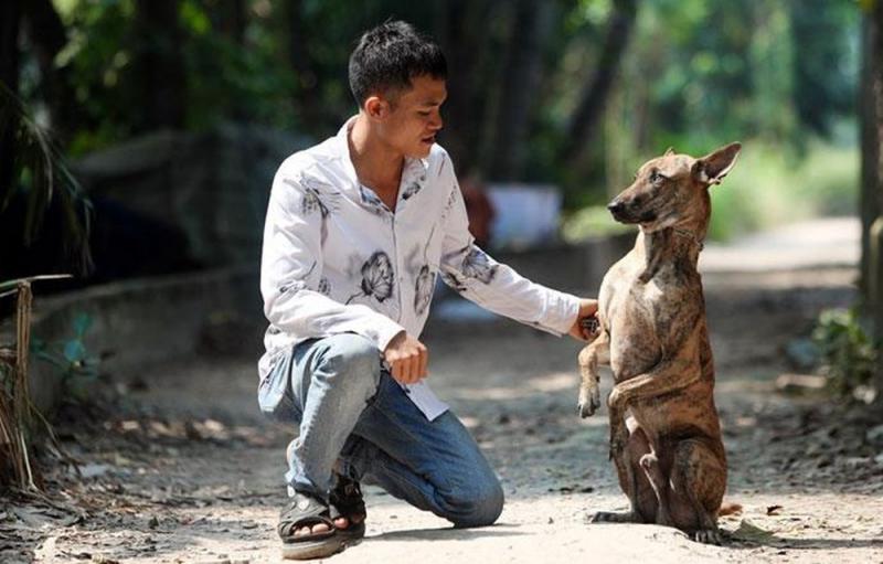 4 giống chó bản địa Việt Nam thông minh lại có khí chất 'quý tộc' nhưng ít người biết 4 giống chó bản địa Việt Nam thông minh lại có khí chất 'quý tộc' nhưng ít người biết