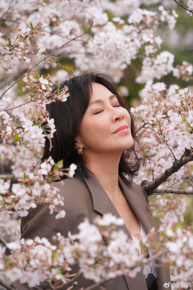 Chuyện tình Lương Triều Vỹ - Lưu Gia Linh: 'Cùng nhau trưởng thành, cùng nhau chầm chậm già đi' Chuyện tình Lương Triều Vỹ - Lưu Gia Linh: 'Cùng nhau trưởng thành, cùng nhau chầm chậm già đi'