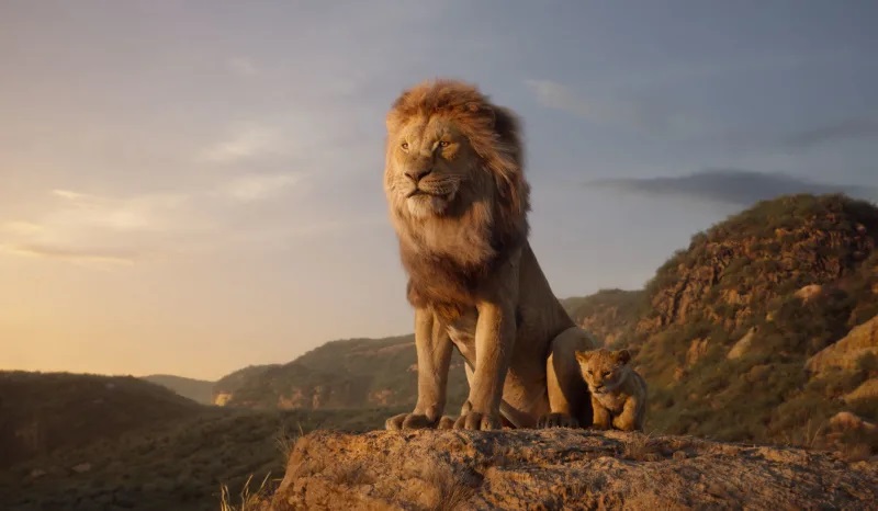 Đánh giá sớm 'The Lion King' 2019: 'Phim này rồi sẽ kiếm được hàng đống tiền!' Đánh giá sớm 'The Lion King' 2019: 'Phim này rồi sẽ kiếm được hàng đống tiền!'