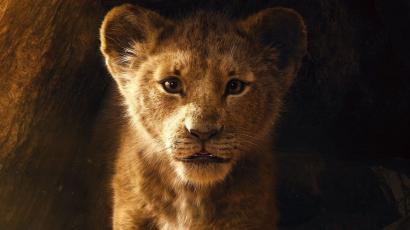 Đánh giá sớm 'The Lion King' 2019: 'Phim này rồi sẽ kiếm được hàng đống tiền!' Đánh giá sớm 'The Lion King' 2019: 'Phim này rồi sẽ kiếm được hàng đống tiền!'