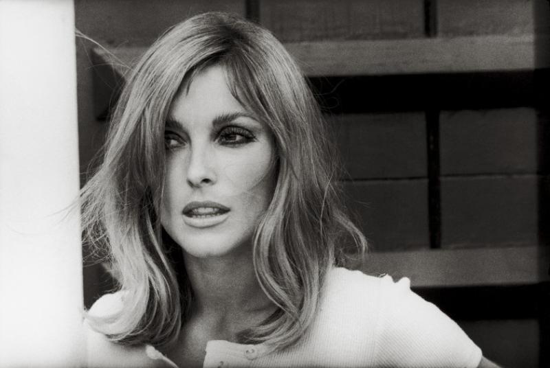 'Giáo phái Manson' và vụ sát hại minh tinh Sharon Tate được biến đổi trong 'Once Upon A Time In Hollywood' như thế nào? 'Giáo phái Manson' và vụ sát hại minh tinh Sharon Tate được biến đổi trong 'Once Upon A Time In Hollywood' như thế nào?
