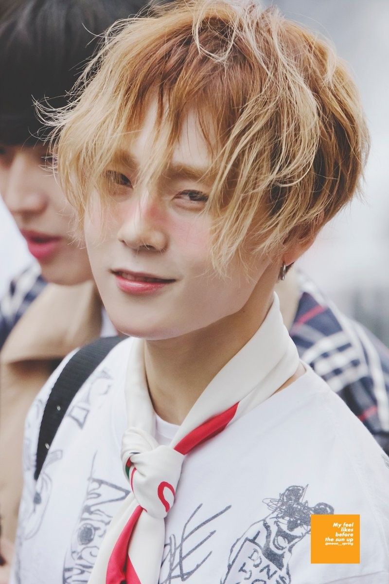 Dù khởi đầu nhạt nhòa, nhưng cuối cùng đây mới là những idol nổi tiếng nhất nhì nhóm Dù khởi đầu nhạt nhòa, nhưng cuối cùng đây mới là những idol nổi tiếng nhất nhì nhóm