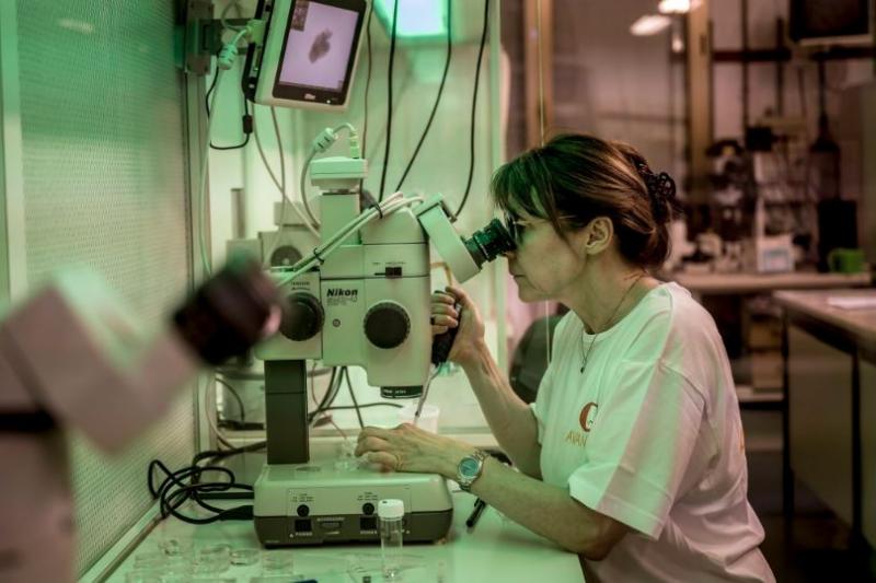 Tê giác trắng có khả năng thoát khỏi bờ vực tuyệt chủng nhờ phương pháp thụ tinh nhân tạo mới nhất Tê giác trắng có khả năng thoát khỏi bờ vực tuyệt chủng nhờ phương pháp thụ tinh nhân tạo mới nhất