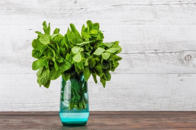 Bí kíp để được thưởng thức những món ăn chuẩn nhà hàng 5 sao ngay tại gia (P.1) Bí kíp để được thưởng thức những món ăn chuẩn nhà hàng 5 sao ngay tại gia (P.1)